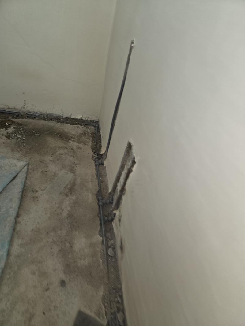 235149625_sRKvyHmN_7587272e653377194ab91b473e4b052f135f70e7.jpg 이미지크게보기