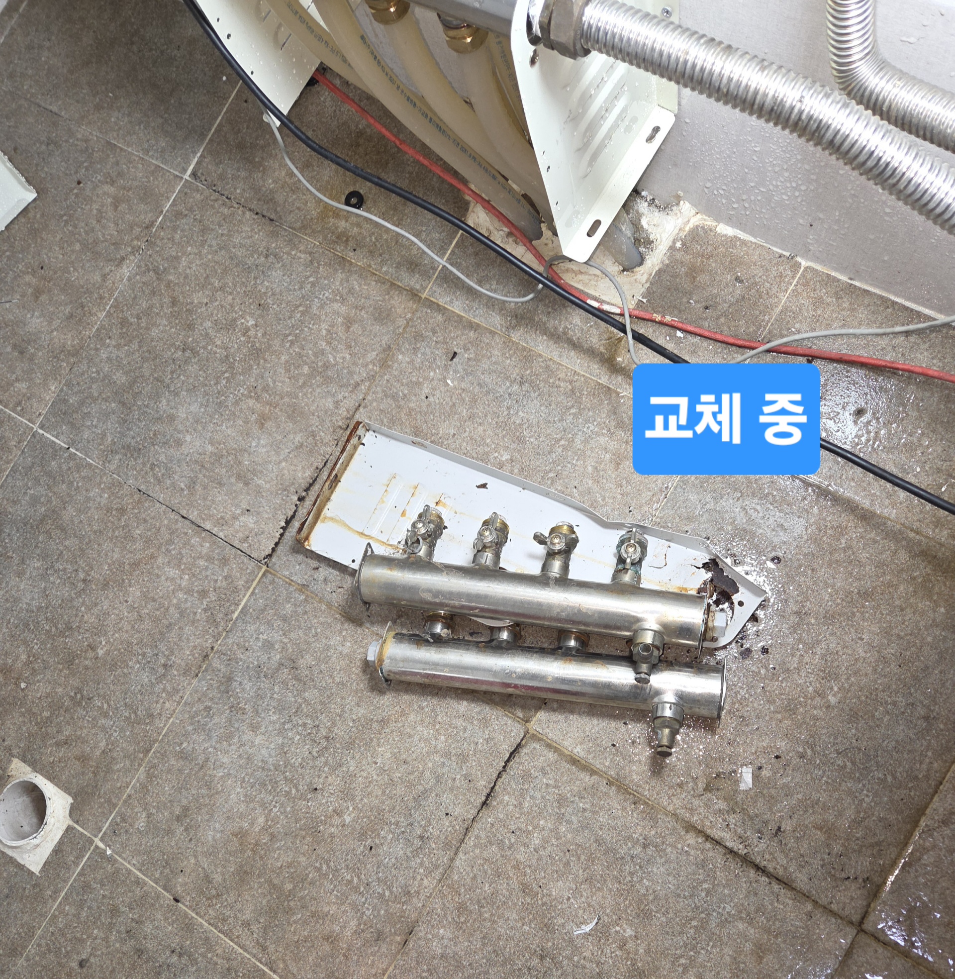 3731530172_Uagd5Len_6696963080fec2b1baeaa4439e604a9bebd1d743.jpg 이미지크게보기